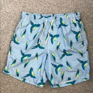 Parrot swim trunks